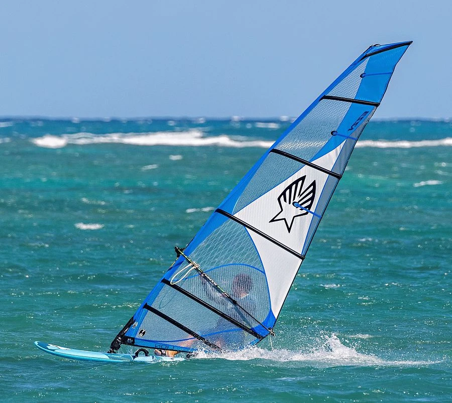 2022 Ezzy Lion Blue 4 2022 Ezzy Lion Blue - Image 2