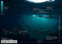 Ocean Guardian Freedom Plus Surf Bundle Boards Less Than 6 Ft 6 Inches